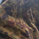 User submitted media