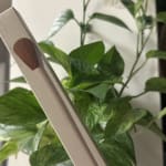 User submitted media 1 of 2