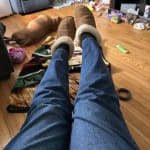 User submitted media