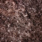 User submitted media 4 of 4