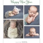 Holiday Holly Frame 5x7 Stationery Card By Stacy Claire Boyd Shutterfly