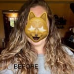 User submitted media