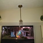 User submitted media 1 of 2