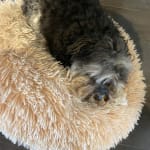 User submitted media 6 of 6