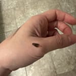 User submitted media 1 of 2