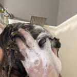 User submitted media 1 of 3