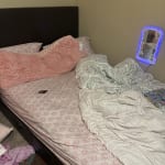 User submitted media