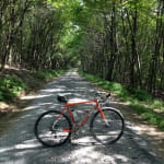 Bontrager lt2 cheap expert 700x38c