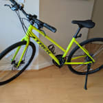 Trek fx best sale 1 stagger disc