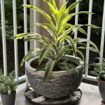 Odessa Layered Rock Outdoor Planter