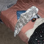 User submitted media