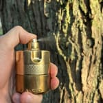 User submitted media