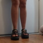 User submitted media