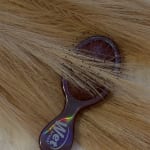 User submitted media 1 of 2