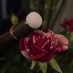 User submitted media 4 of 5