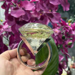 User submitted media