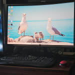 User submitted media
