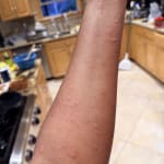 User submitted media 2 of 3