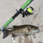 ACC Crappie Stix Spinnin' Stix Super Grip 8' Spinning Rod Med
