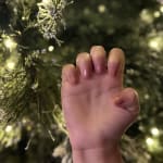 User submitted media