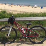 Neko SLX Women s Trek Bikes GB