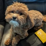 User submitted media