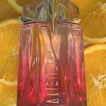 User submitted media