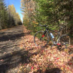 Boone 7 Disc | Trek Bikes