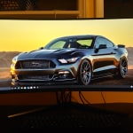 User submitted media