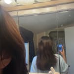User submitted media