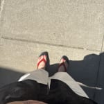 User submitted media