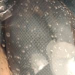 User submitted media