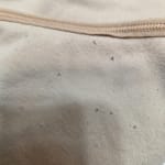 User submitted media 1 of 2