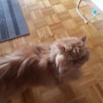 User submitted media 1 of 2