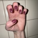 User submitted media