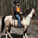 Wrangler® Ultimate Riding Jean - Cash in American Spirit