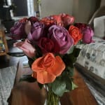 Two Dozen Assorted Roses