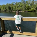 User submitted media