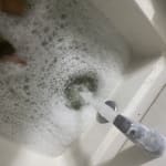 User submitted media 2 of 2