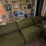 User submitted media