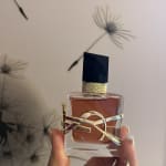 User submitted media 1 of 3