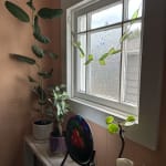 Green Glass Leaf Suncatcher Garland