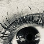 User submitted media 3 of 4