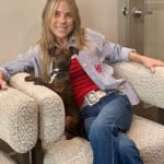 User submitted media