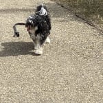 User submitted media 3 of 6