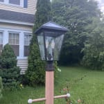 User submitted media