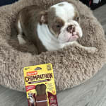 User submitted media 3 of 3