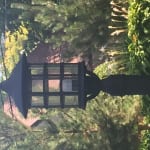 User submitted media