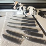Coated Steak Knife Set