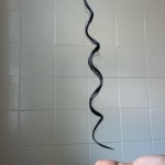 User submitted media 2 of 2